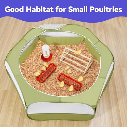 Chick Brooder Box for Chick Starter Kit (Z-Green + Red + Wood Color)
