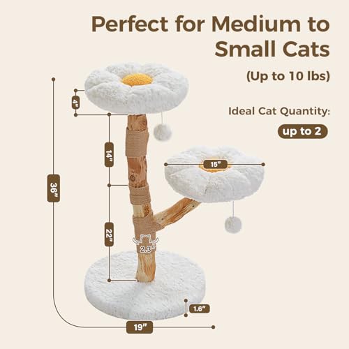 Modern Flower Cat Tree with Real Wood Branches & 2 Balls (Cloud White / 37.5" Solid Wood Cat Tree)