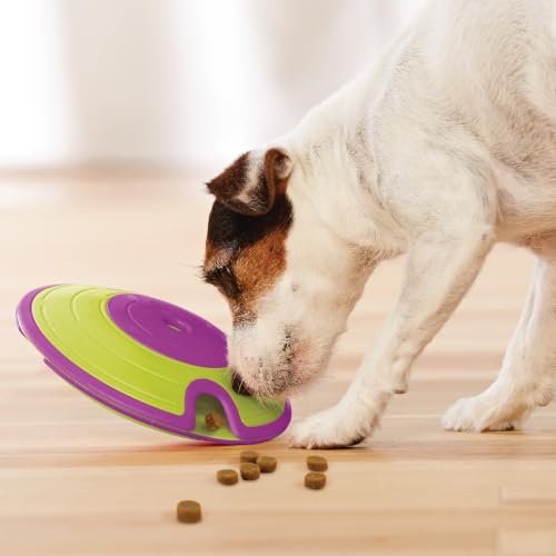 Nina Ottosson Dog Treat Maze Dog Toy (Green / One Size)