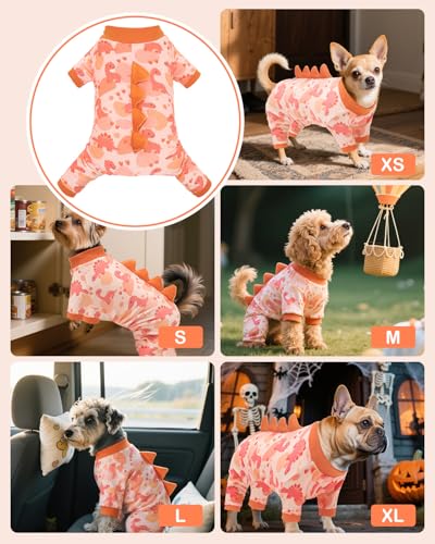 Dinosaur Costume Dog Pajamas (Large / Dinos#13)