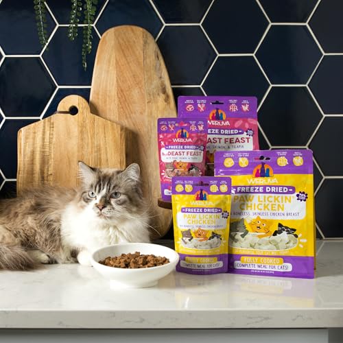 Cat Freeze Dried (7 Ounce (Pack of 1))