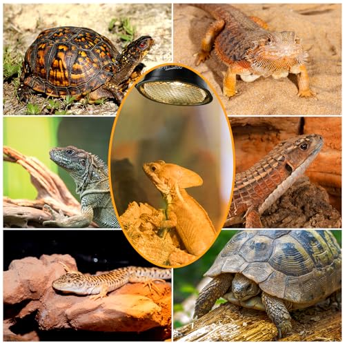 G9 Reptile Heat Lamp Bulb & Reptile Light Fixture with Safety Mesh Kit