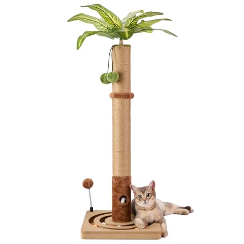 35in Tall Cat Scratching Post Sturdy and Premium Scratch Posts with Hanging Ball and Ball Track Cute Cat Tree for Indoor Cats (35 inches for Adult cats)
