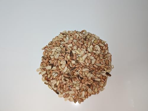 Wildlife Shelled Peanuts (25 Pound (Pack of 1) / Shelled)