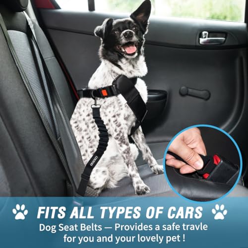 Dog Seat Belt (Set 01 Pack B-Blue)