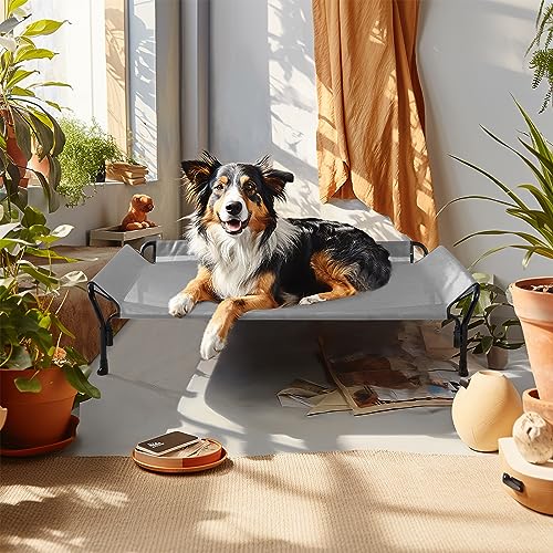 Cooling Elevated Dog Bed (Grey / 47.0"L x 32.0"W x 12.0"Th)