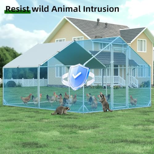 Metal Chicken Coop (157.2"L x 117.6"W x 76.8"H)