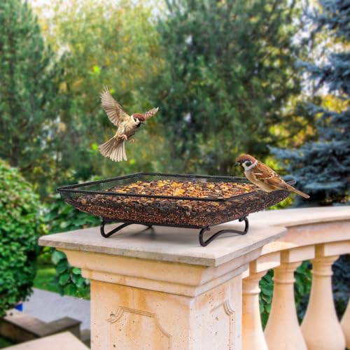 Ground Bird Feeder Tray 11x11 Inches (11x11 inches (1 pack))