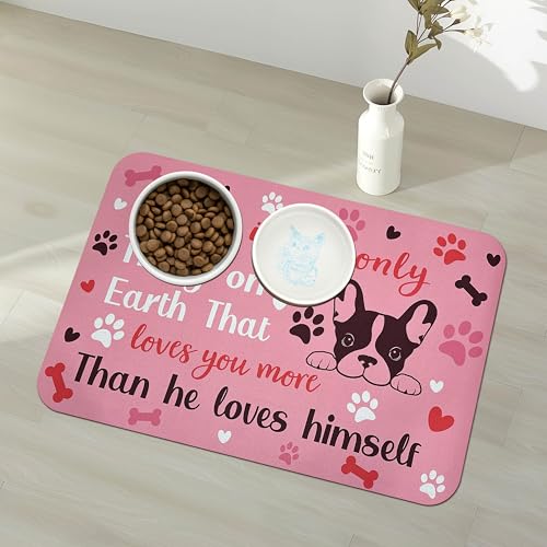 Pet Feeding Mat for Floors Waterproof Dog Mat for Food and Water Absorbent Quick Dry Non Slip mat for Cat Bowls (24"L x 16"W / Pink)
