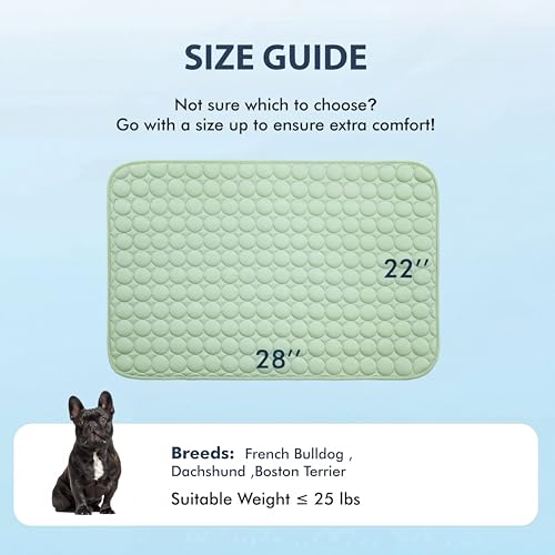 Summer Cooling Mat & Sleeping Pad (28" x 22" / Green)
