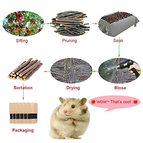 500g Apple Sticks for Small Animals