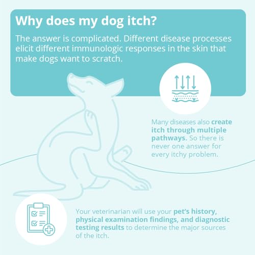 Shampoo for Dogs