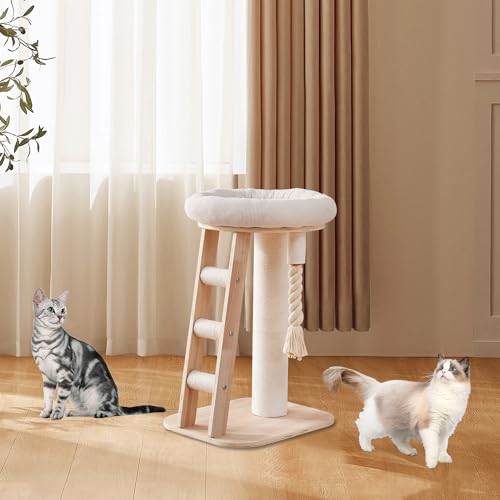 Modern Cat Tree Small Tower with Scratching Post for Indoor (with Ladder)
