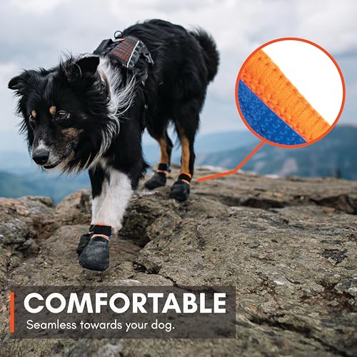 Dog Boots for Hot Pavement (Medium)
