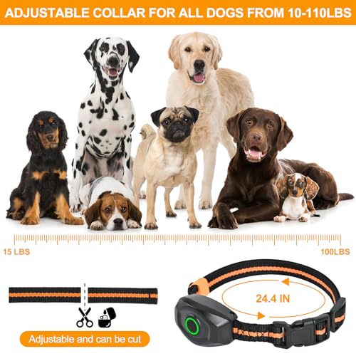 Dog Shock Collar with Remote Control