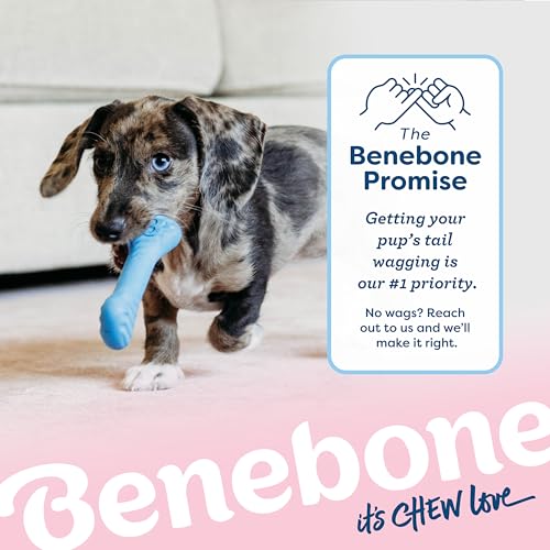 Puppy 2 Pack Rubber Bone (2 Pack)
