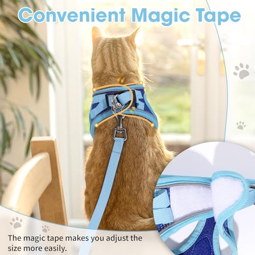 Cat Vest Harness and Leash Set (Blue / L)