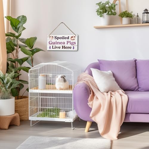 Big Hamster Ball & Guinea Pig Hideout (007)