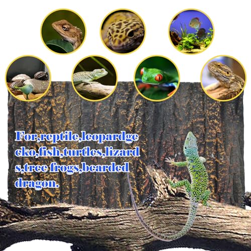 Reptile Terrarium Cork Background (【CORK】)