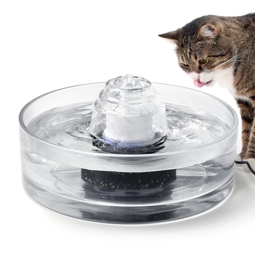 Transparent Glass Cat Water Fountain Cover