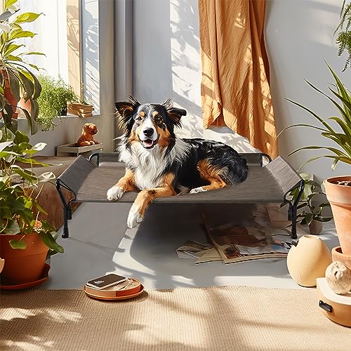 Cooling Elevated Dog Bed (Brown / 47.0"L x 32.0"W x 12.0"Th)