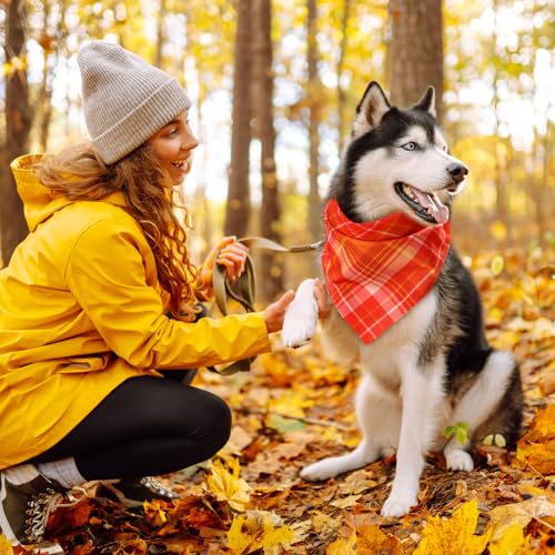 50 Pcs Fall Thanksgiving Plaid Dog Bandanas Bulk for Large (Plaid Pattern / 31.5 x 21.7 x 21.7 Inch)
