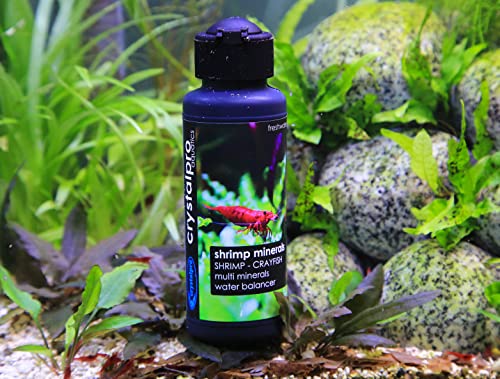 Shrimp Minerals 4.2 Oz (125 ml)