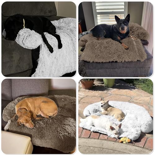 Calming Dog Bed Fluffy Plush Dog Mat for Furniture Protector with Removable Washable Cover for Large Medium Small Dogs and Cats (Camel / 45.0"L x 37.0"W x 6.0"Th)