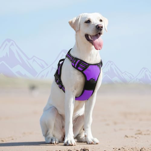 Dog Harness for Large Dogs (Large / Purple)