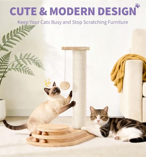 Made4Pets Kitten Toy Scratching Post for Indoor Cats with Ball Track (17.7"H)