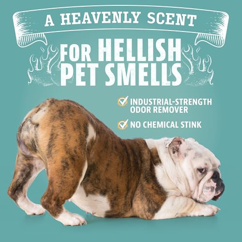 Pet Odor Eliminator for Dog and Cat Urine (128 Fl Oz (Pack of 1))