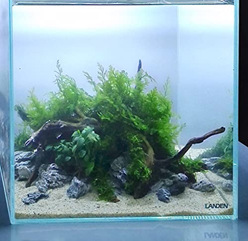 Namale Aquarium Natural Fish Tank Sand (M,2Lx1pk)