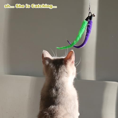Cat Toys for Indoor Cats
