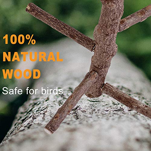 Bird Perch Stand Toy Natural Wood Bird Cage Branch Perch 10 Inch (10 Inch Perch)