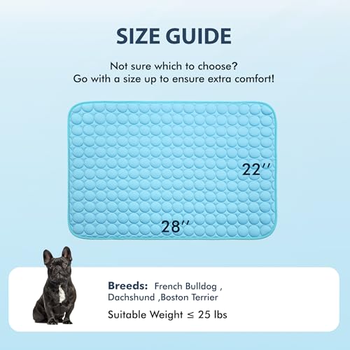 Summer Cooling Mat & Sleeping Pad (28" x 22" / Blue)