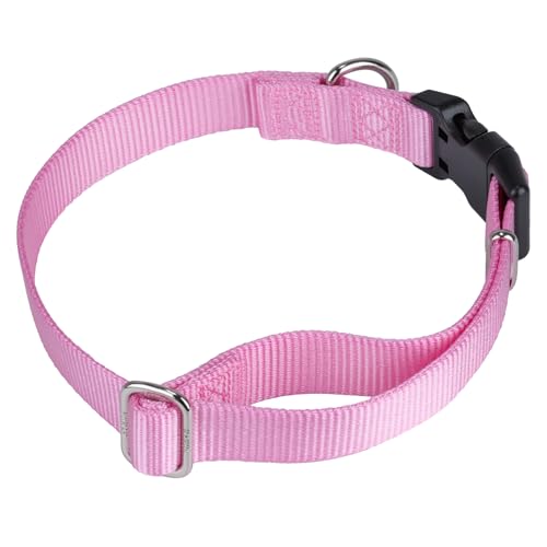 Pink Dog Collar for Large Dogs (Large / Bonbon Pink)