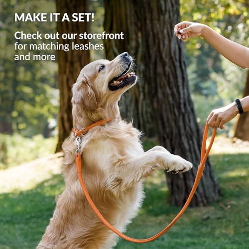 Tangle Free Reflective Leather Dog Collar (Orange / S)