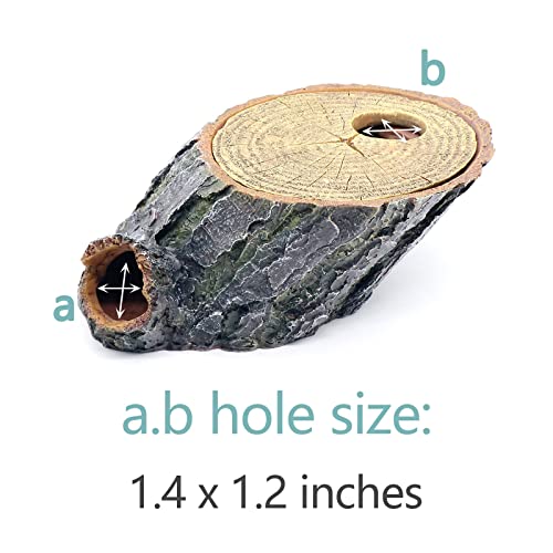 Snake Hide and Basking Tree Roots Cave for Terrariums (Medium)