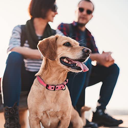 Padded Dog Collar for Small Dogs with Metal Belt Buckle (Small(11”-14.5“) / Pink)