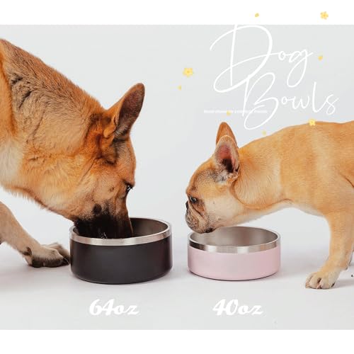 Dog Bowl for Food and Water (40 Ounces / Black)
