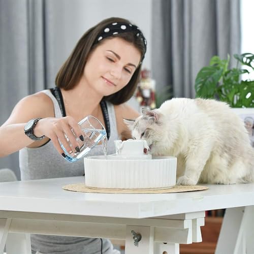 Pet Drinking Fountain