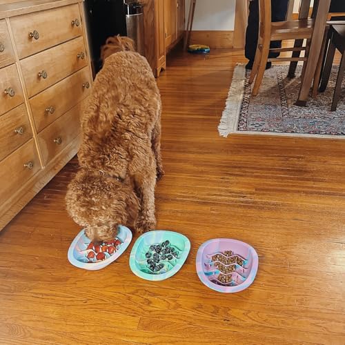 Dog & Cat Lick Mat Bowls with Suction Cups (Rainbow / Large)