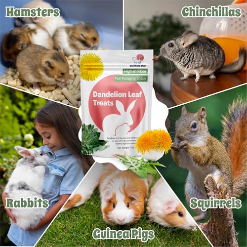 Dandelion Leaf Treat for Small Pets