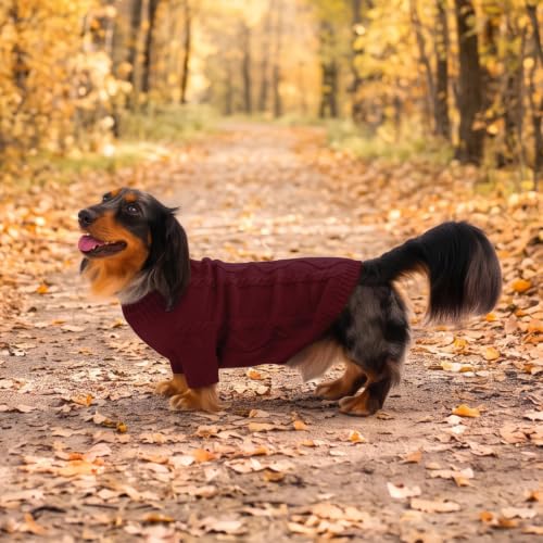 Dog Sweater for Small to Large Dogs (Large / Burgundy)