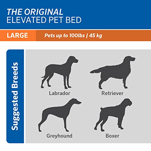 Original Elevated Dog Bed (Large Dog Bed / Gunmetal (Pack of 1))
