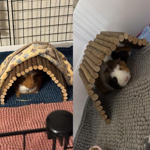 Wooden Hamster Bridge (M (15.7 x 6.0 inches))