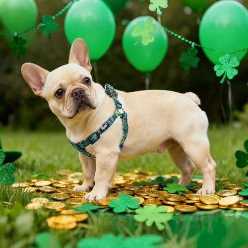No Pull Dog Harness Small Sized Step (Green(St. Patrick) / Small)