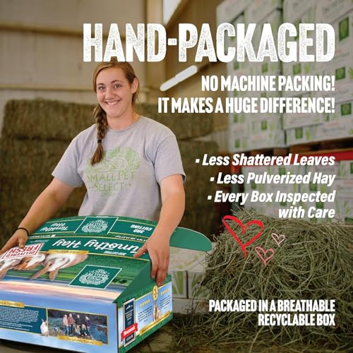 Hay Sampler Box