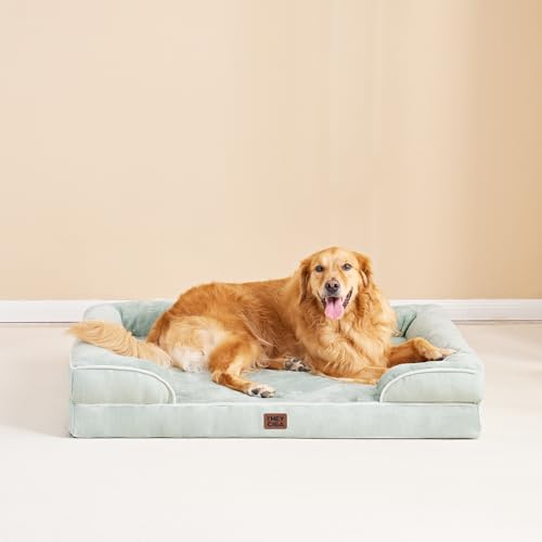 Orthopedic Large Dog Bed (Soft Sage Green / 36.0"l X 27.0"w X 6.5"th)