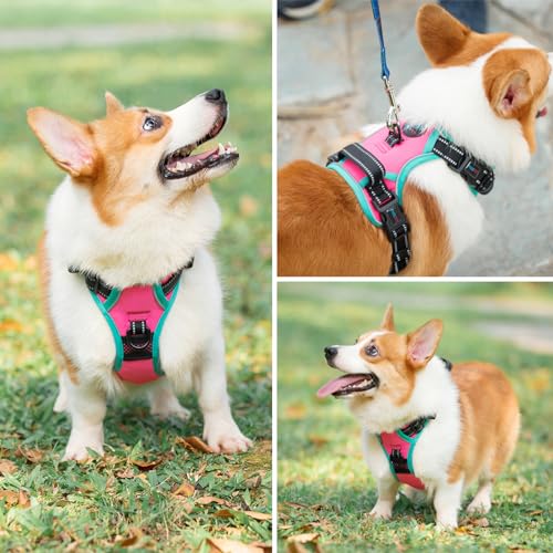 Upgraded No Pull Dog Harness (Pink / Medium)